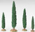 CYPRESS TREES SET OF 4 - 54601