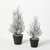 FLOCKED PINE TREE- TR1116