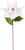 HOLIDAY POINSETTIA 26" - 06-22204