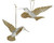 HUMMINGBIRD GOLD GLITTER - 020551