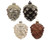 SNOWY PINECONE - 129517