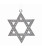 METAL STAR OF DAVID ORNAMENT - C6745