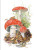 MINI CARDS MUSHROOMS - 10 PACK - 68-00000452