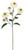 SUN DAISY X5- 28"- 08-20530 - FALL40 SUN DAISY X5- 28"- 08-20530 - FALL40
