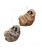 FURRY SLOTH ORNAMENT - C4865