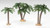 MULTI TRUNK PALM TREES - 56570