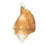 GOLDEN SEASHELL - 12178