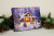 HOLIDAY RETREAT 8X6 - A2343 HOLIDAY RETREAT 8X6 - A2343