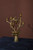 FRANKIE CANDELABRA 14.5" - 75125.00