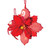 POINSETTIA ORNAMENT - ND6010519