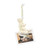 CATS RULE PHOTO HOLDER CLIP ORNAMENT - 6014166