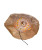FIBER OPTIC GOLD BRUNETTE ANGEL TREETOPPER - UL2224
