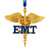 GOLD CADUCEUS EMERGENCY MEDICAL TECHNICIAN EMT - W8564
