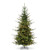 7.5' ROCKY MOUNTAIN SPRUCE WITH BRILLIANT LED LIGHTS - T4409552