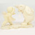 POLAR BALLERINAS - 6016008