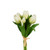 12" WHITE TULIP BUNDLE - F4502129