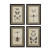 FRAMED RECTANGLE FLYING INSECT WALL DECOR - DA1528A