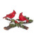 CARDINALS ON BRANCH - 4512129