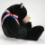 BUBBA BEARSEVELT PLUSH TEDDY BEAR - 6017140