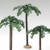 SINGLE PALM TREE - 56571