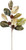 GILDED MAGNOLIA SPRAY
