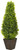 LAUREL TREE WITH POT - MEDIUM 21" - 05-83608