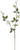 QUEEN ANNE LAUREL SPRAY - FALL40
