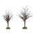 Set of 2 bare branch trees, set with moss, add to your Village display. This Village tree set is hand-crafted, paper and wire.