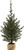 Pinetree by Mark Roberts