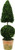 BOXWOOD TOPIARY CONE&BALL42IN. - 10-00912