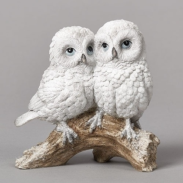 DOUBLE OWL ON BRANCH - 134138