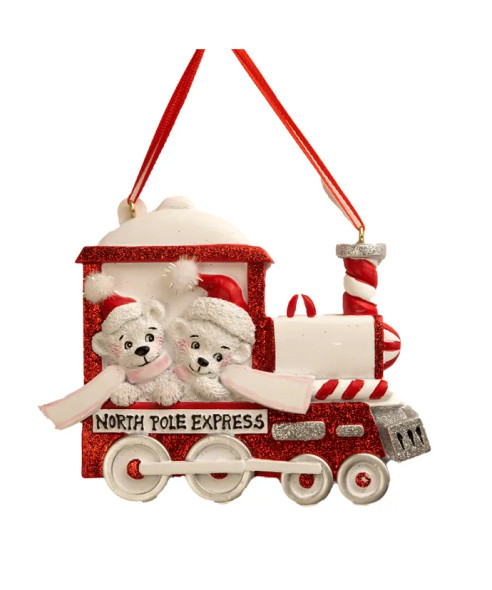 NORTH POLE EXPRESS FAMILY OF 2 - A2358