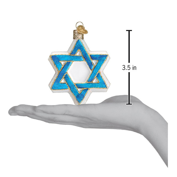 STAR OF DAVID - 22033