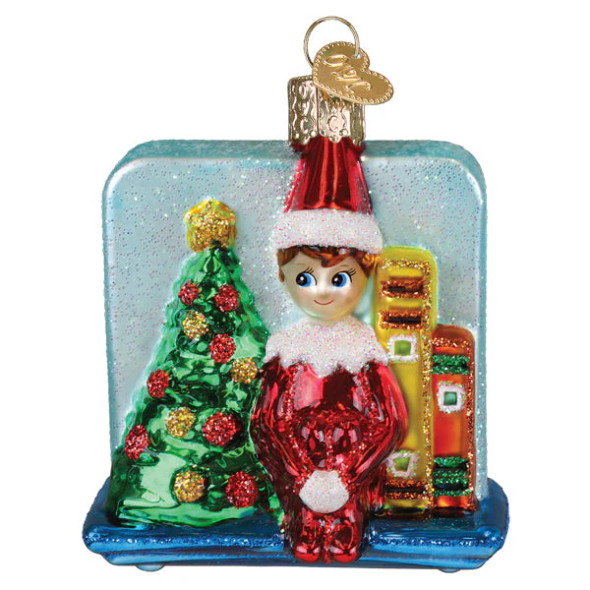 SCOUT ELF STORYTIME - 44255