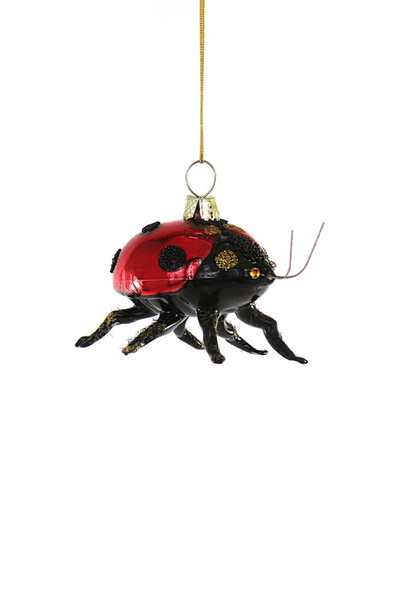 GARDEN LADY BUG - GL-627