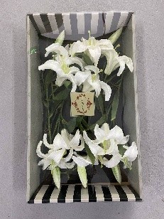 MAJESTIC CASABLANCA LILY - NATURAL TOUCH - 09-60306-WHT