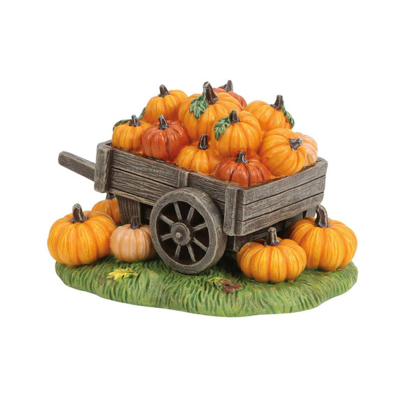 HALLOWEEN - HEY THERE PUMPKIN! - 6018477