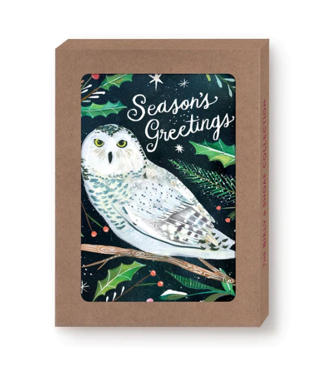 SNOWY OWL BOXED CARDS - KDX006BX
