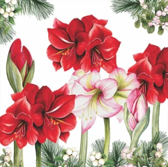 BLOOMING AMARYLLIS - BEVERAGE NAPKIN - 32520275