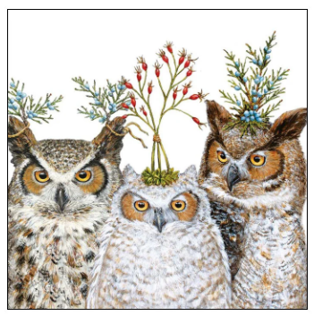 HOLIDAY HOOT - BEVERAGE NAPKINS - 1253590