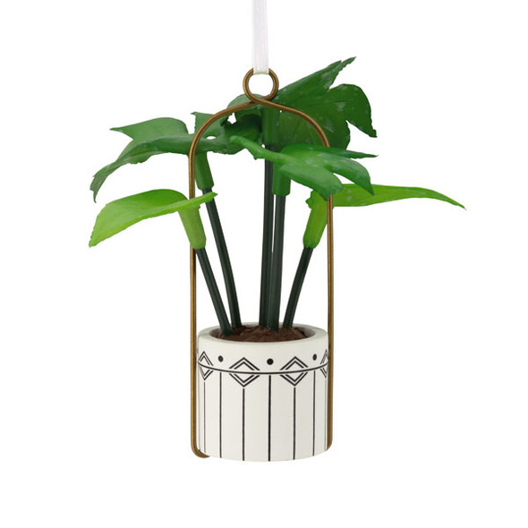 HANGING PLANT - 1HGO3495
