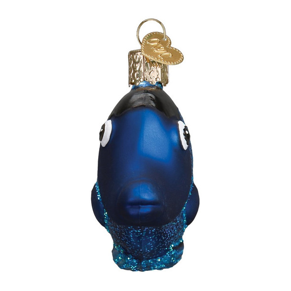 PACIFIC BLUE TANG - 12504