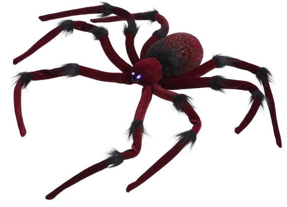 RED & BLACK SPIDER