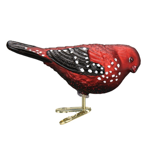 STRAWBERRY FINCH - 18134