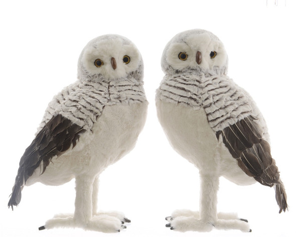 XL PLUSH OWL - 458696