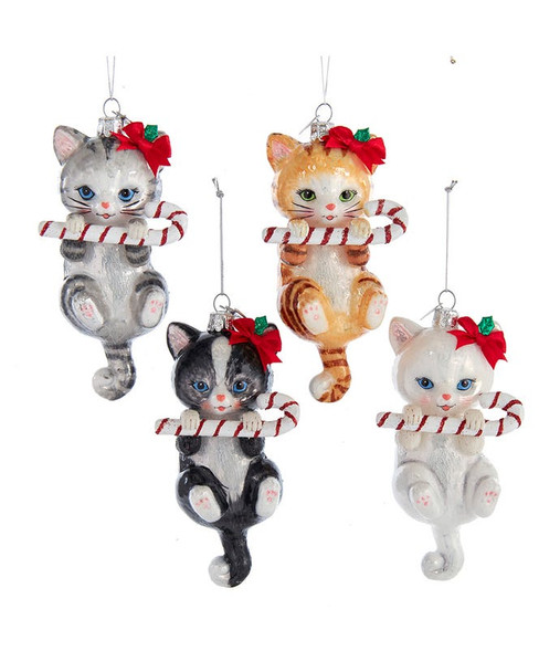 GLASS CAT W/CANDY CANE ORN - NB1668