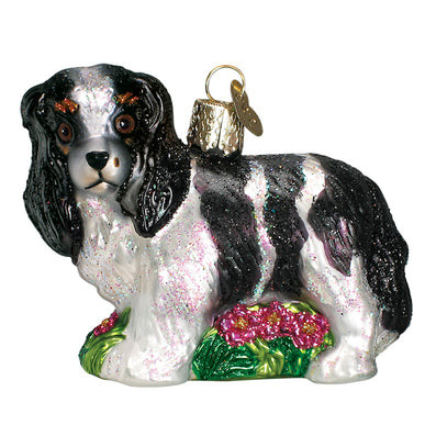 BLACK/WHITE KING CHARLES SPANI - 12612