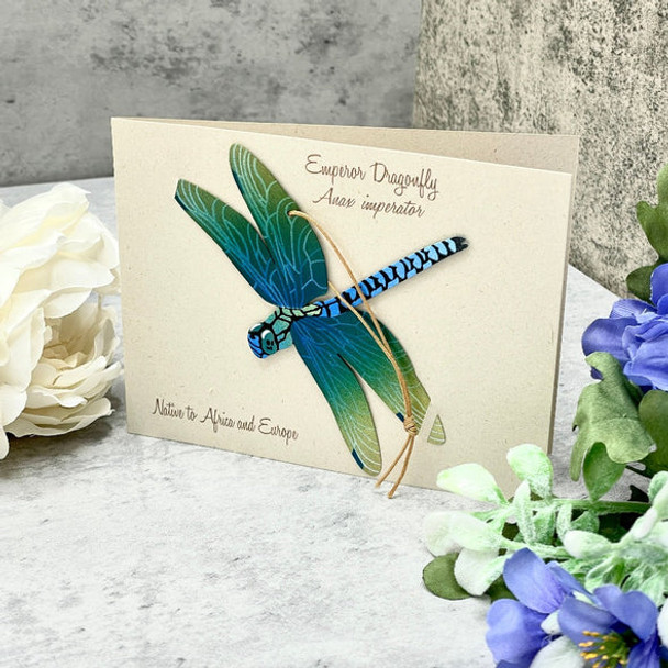 DRAGONFLY ORNAMENT AND NOTECARD - HB016