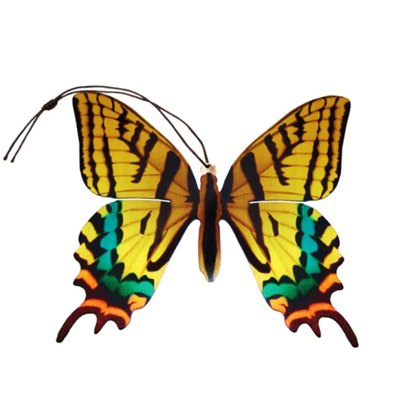 TIGER SWALLOWTAIL BUTTERFLY ORNAMENT AND NOTECARD - HB012