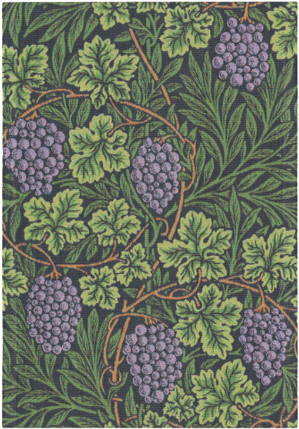 VINE KITCHEN TOWEL 14X20" - A2093